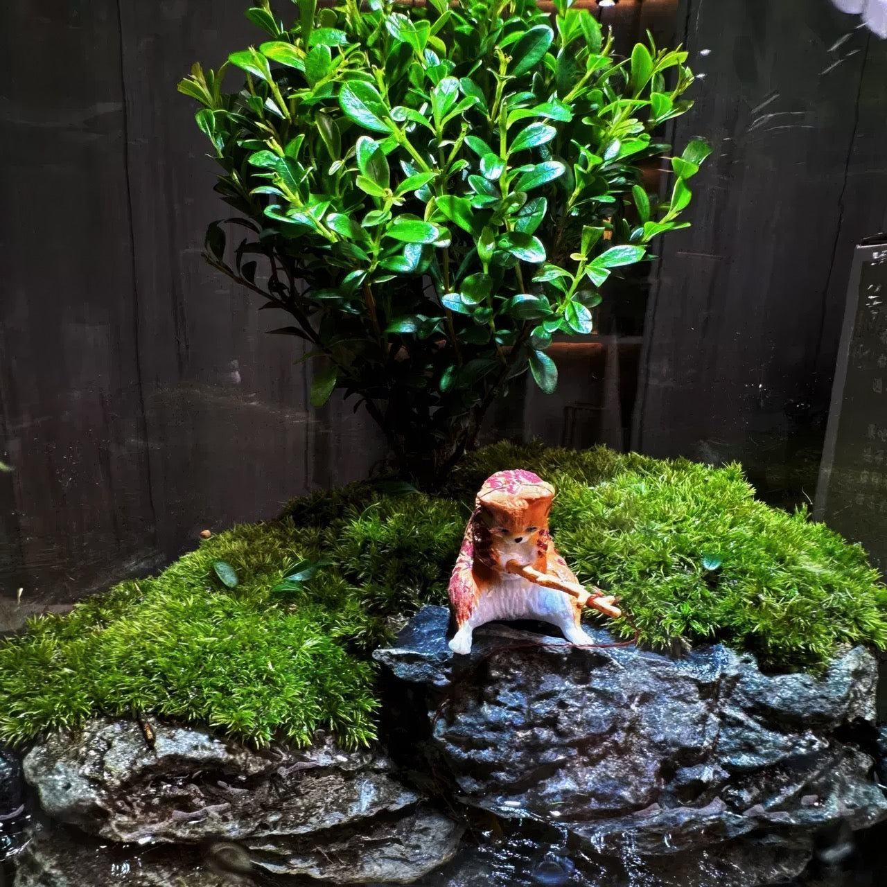 BioDeko™ Paradise Pond