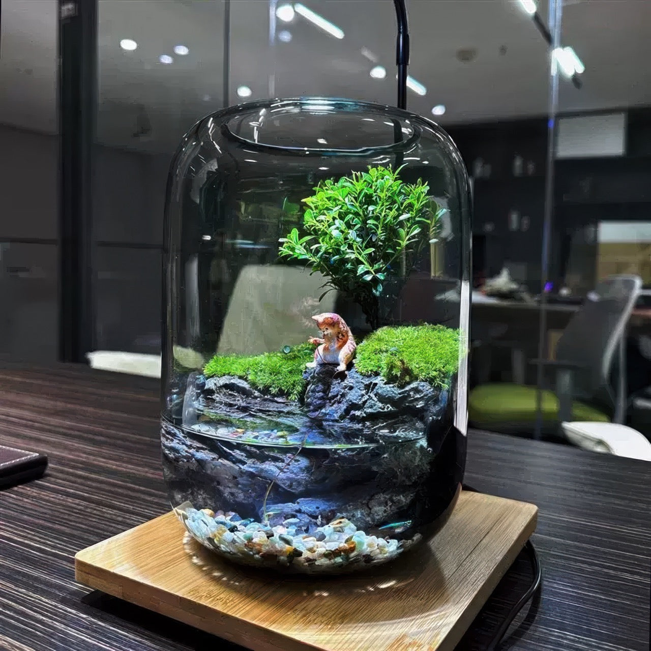 BioDeko™ Paradise Pond