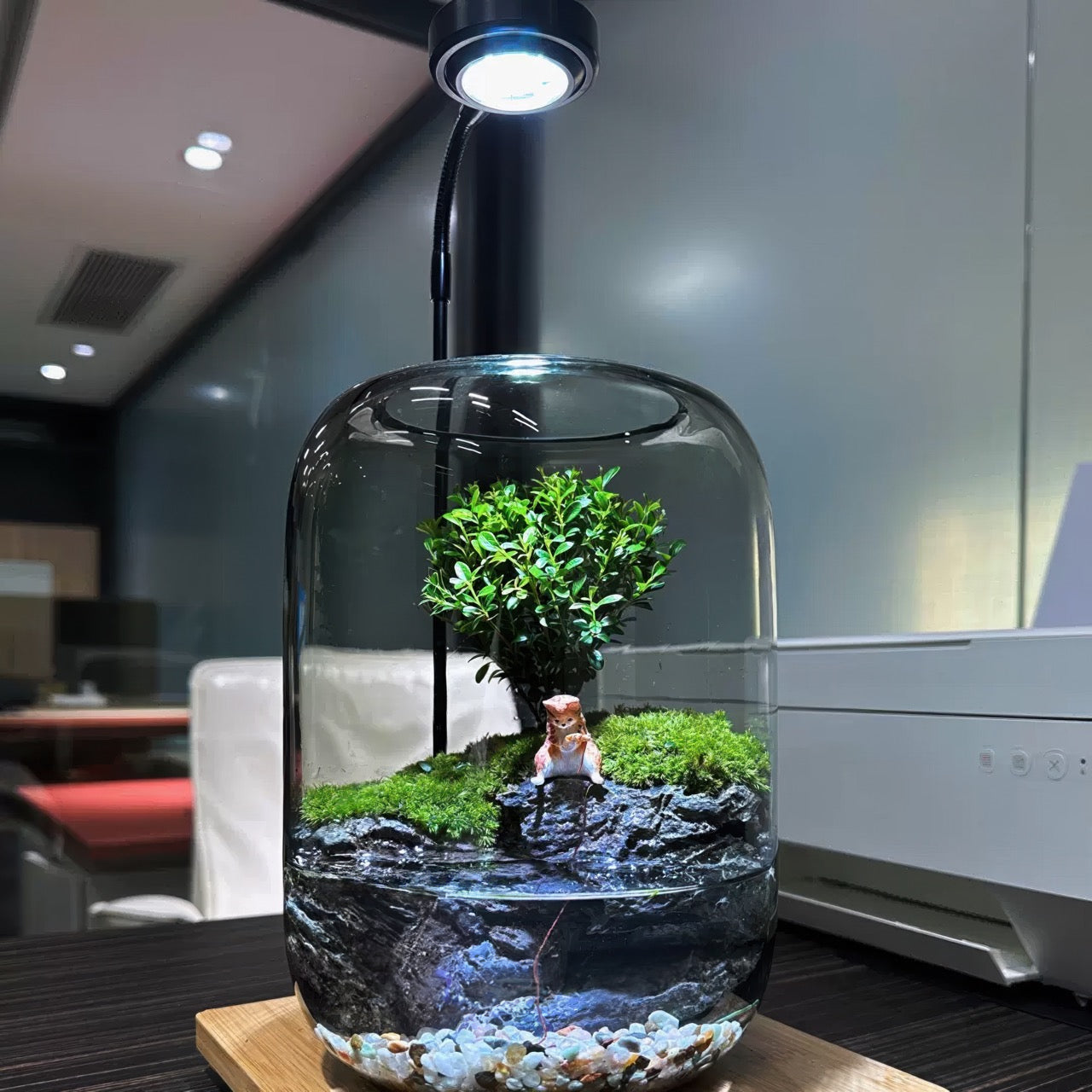 BioDeko™ Paradise Pond