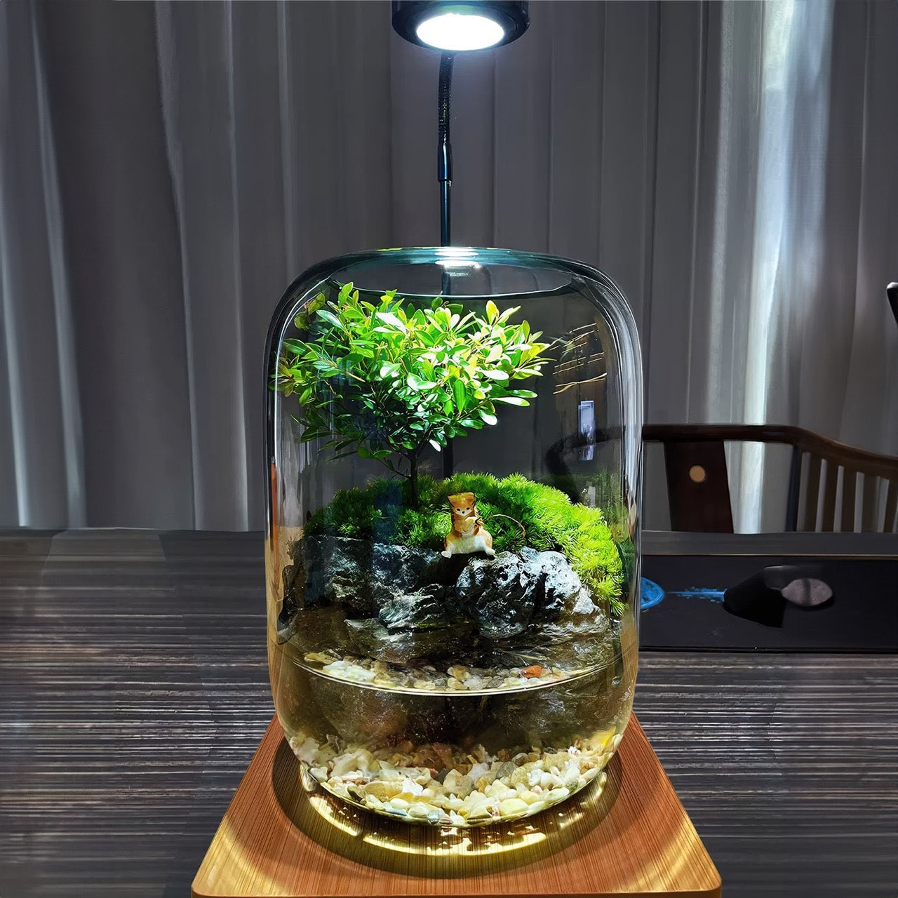 BioDeko™ Paradise Pond